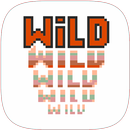 Video Poker Deuces Wild APK