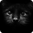 Simulator Find Cat APK