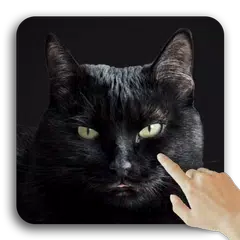 Descargar APK de Lindo gato negro Fondos de pan