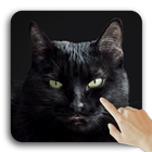 Sevimli siyah kedi Canlı duvar simgesi