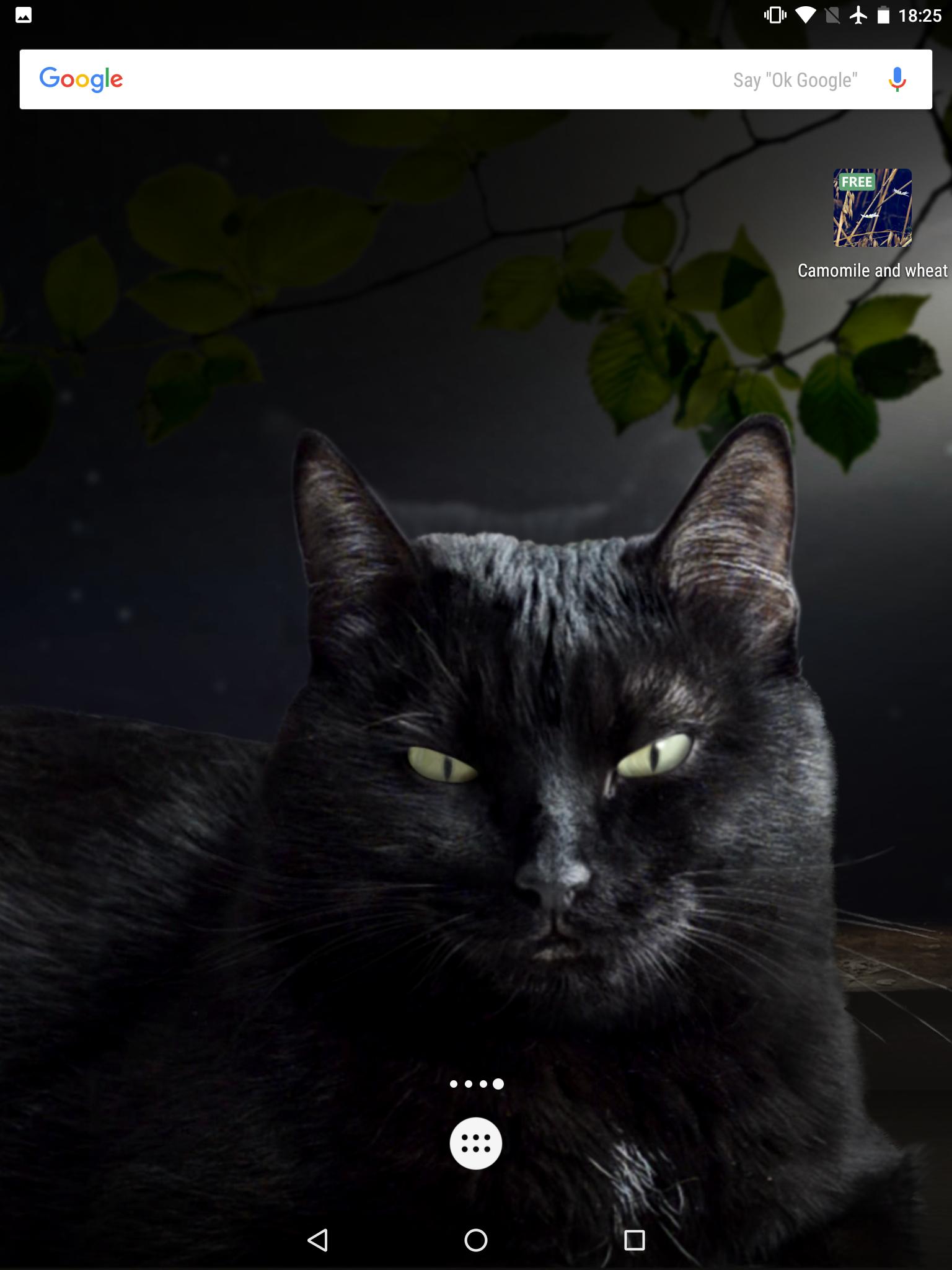 Android 用の かわいい黒猫ライブ壁紙 Apk をダウンロード