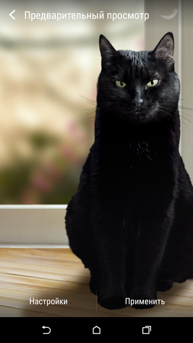 無料で かわいい黒猫ライブ壁紙 アプリの最新版 Apk1 14をダウンロードー Android用 かわいい黒猫ライブ壁紙 Apk の最新バージョンをダウンロード Apkfab Com Jp