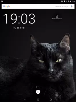 Ox9wmzbzbg 2gm