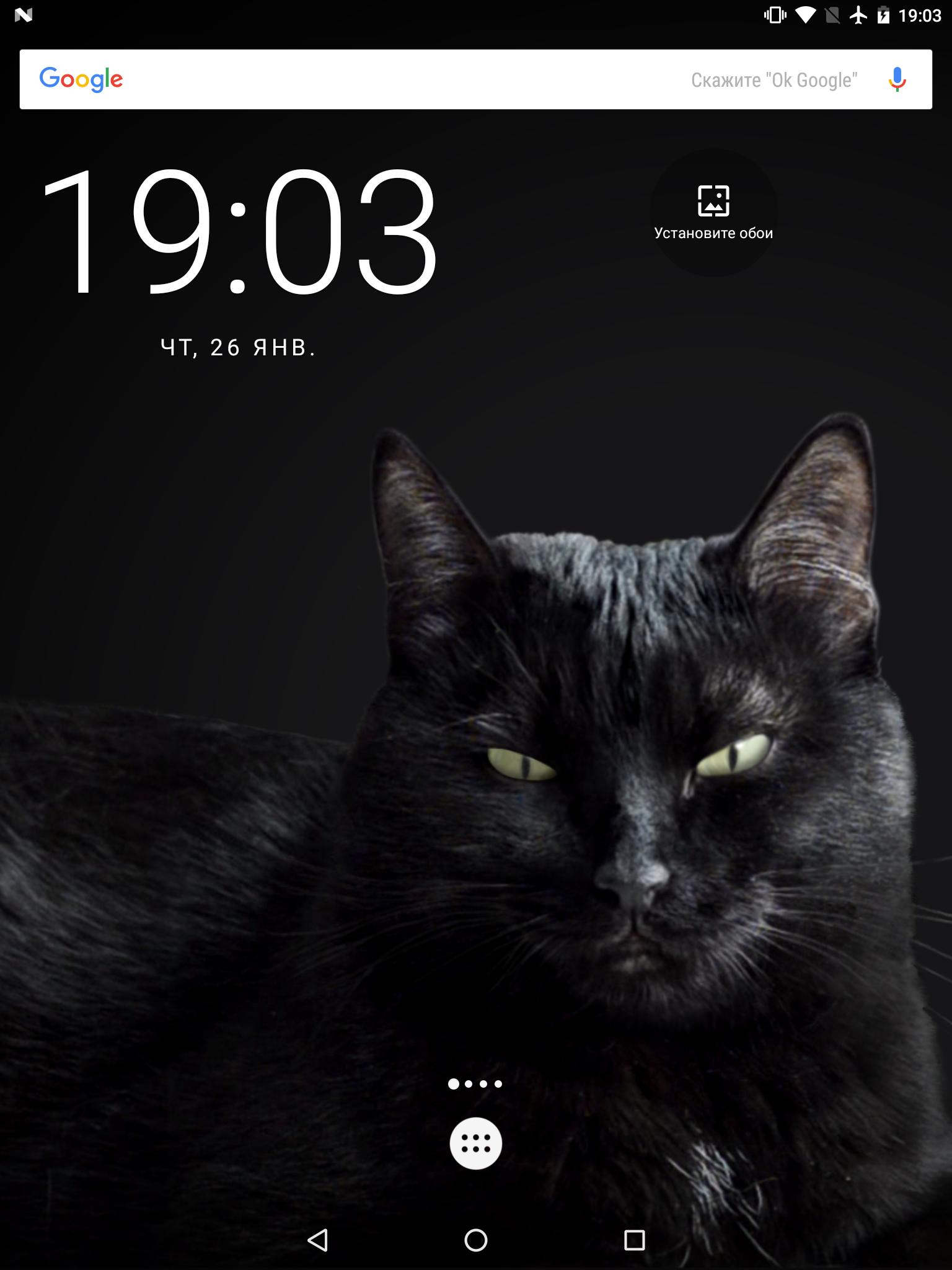 Kucing Hitam Lucu Wallpaper Hidup For Android APK Download