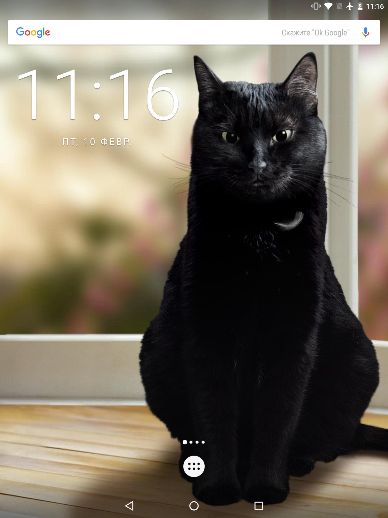 Kucing Hitam Lucu Wallpaper Hidup For Android APK Download