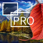 Autumn Leaf Fall Live Wallpaper icono