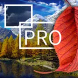 ”Autumn Leaf Fall Live Wallpaper