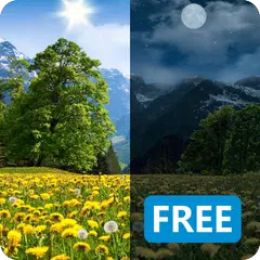 Summer Dandelion Live Wallpap APK 下載