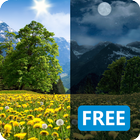 Summer Dandelion Live Wallpap آئیکن