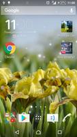 Iris Flowers Live Wallpaper FREE Poster