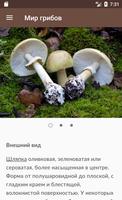 Мир грибов. Справочник اسکرین شاٹ 3