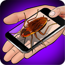 蟑螂怕手笑话 APK