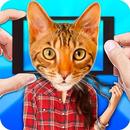 Scanner: What cat? APK