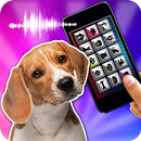 Translator Dog Pet Joke APK