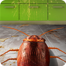 Life Cockroach in Kitchen Simulator APK