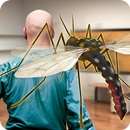 Mosquito 3D Simulator APK