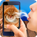 Play and Blow Cat Real Interact Phone APK