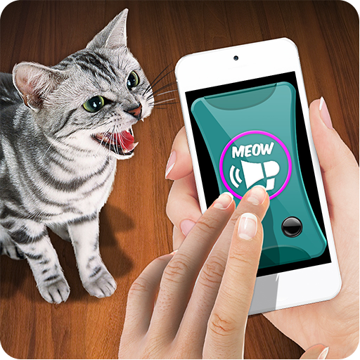 Training Cat Trinket Clicker
