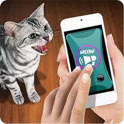 Training Cat Trinket Clicker