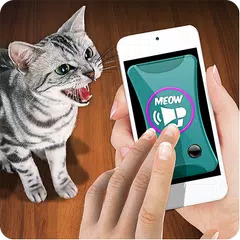 Training Cat Trinket Clicker