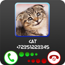 APK Fake Call Cat Prank