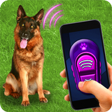 Training Dog Clicker Trinket