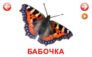 Развивающие карточки Насекомые ポスター