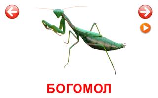 Развивающие карточки Насекомые スクリーンショット 1