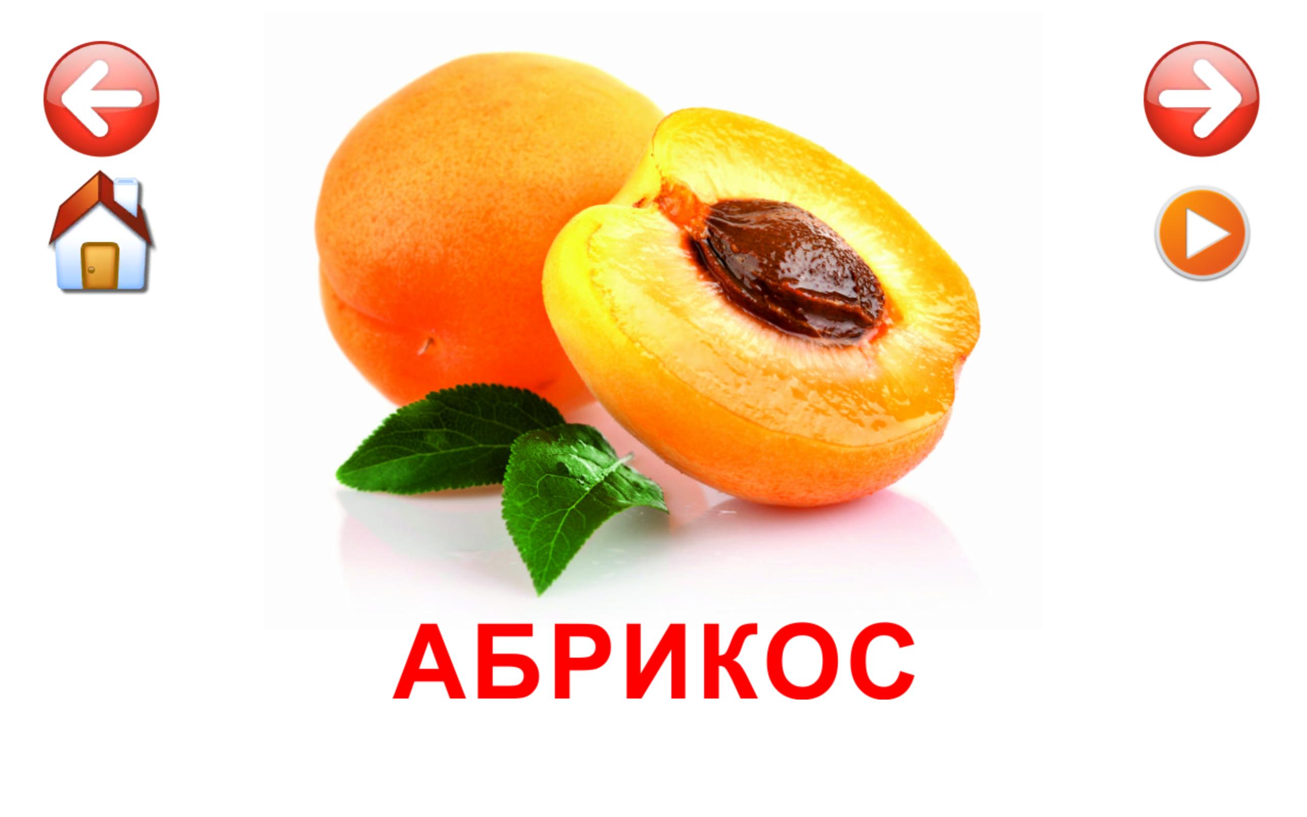 картинка абрикос для детей