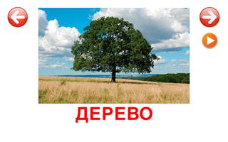 Развивающие карточки Природа スクリーンショット 1