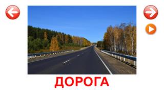 Развивающие карточки Природа スクリーンショット 2