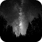 Dark Forest LiveWallpaper POGU icône