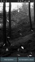 Dark Forest LiveWallpaper POGU Affiche