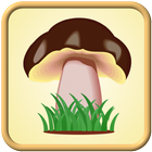 Энциклопедия грибов icon