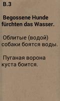 Deutsch Sprichwörter-Russisch スクリーンショット 2