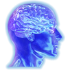 Memory Test APK