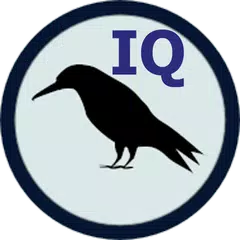 Raven IQ Test アプリダウンロード