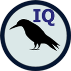 Raven IQ Test ไอคอน