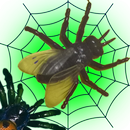 Fly and Candy APK