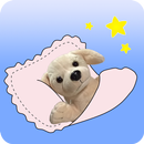 HelpToSleep APK