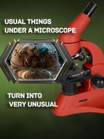 Horror-fun quiz under a microscope What is it? الملصق