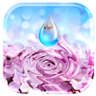 Water Ripple Flowers Live WP