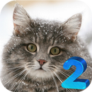 Find the animals 2 APK