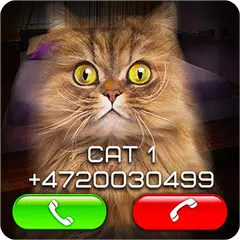 Fake Video Call Cat APK 下載