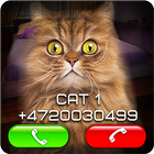 Fake Video Call Cat-icoon