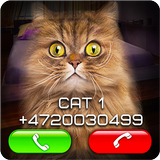 Fake Video Call Cat icon