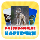 Развивающие карточки для детей APK