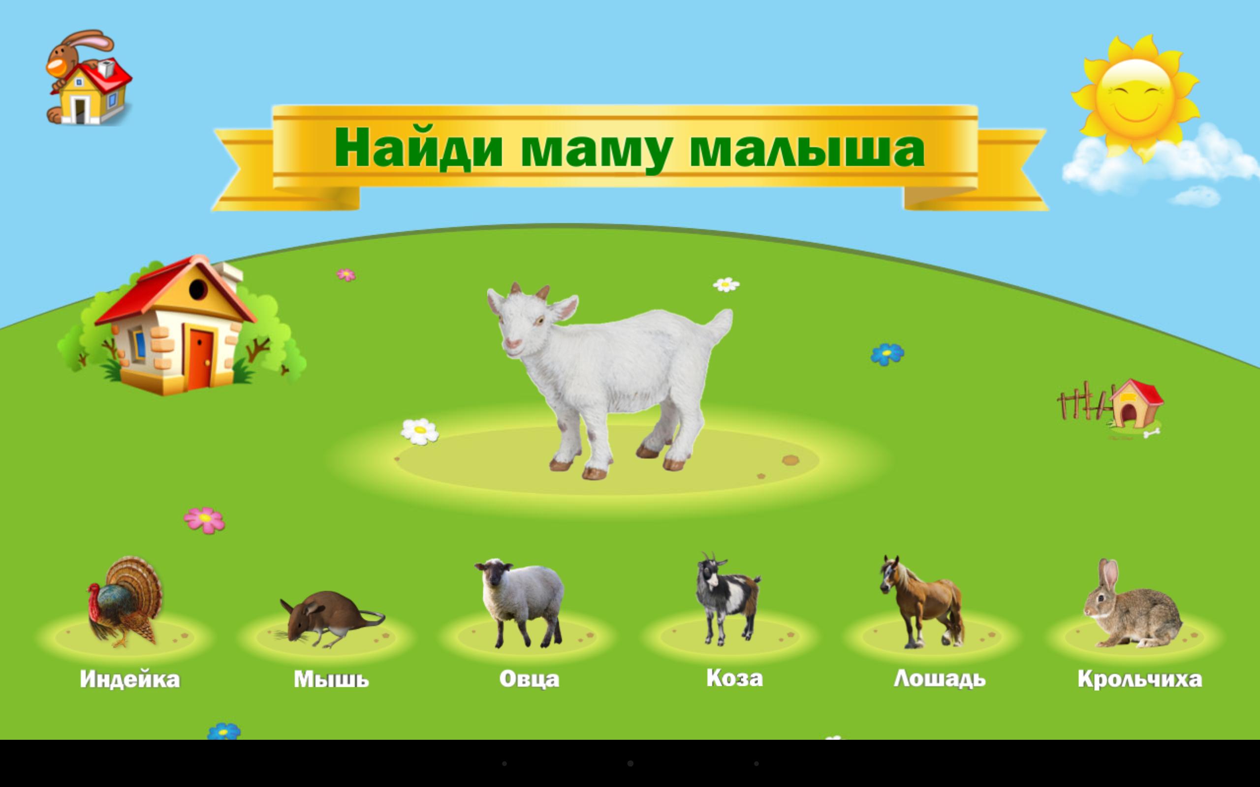 что едят домашние животные картинки для дошкольников