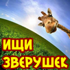 Find Animals: hidden pets! APK