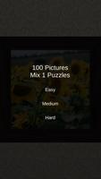 Mix Puzzles - 100 Pictures poster
